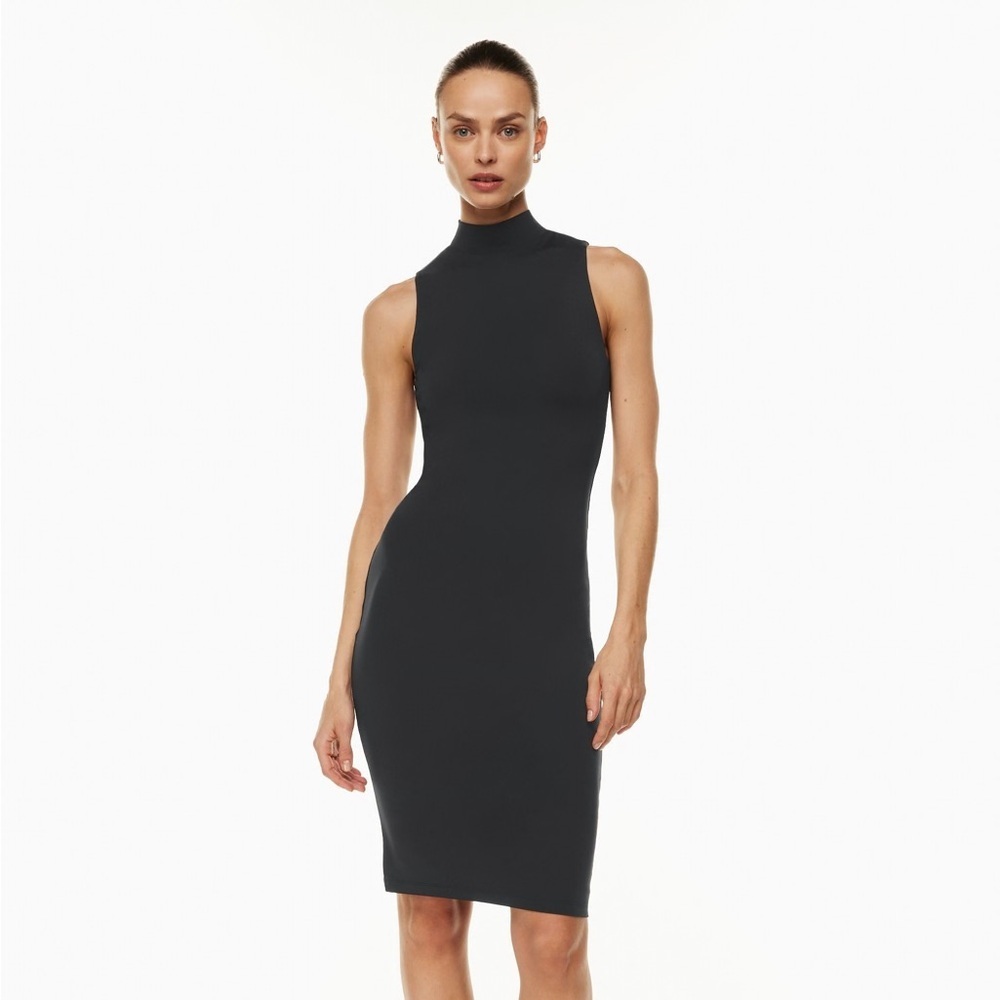 Aritzia Babaton Contour Dress